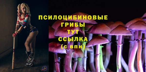 mix Алексин